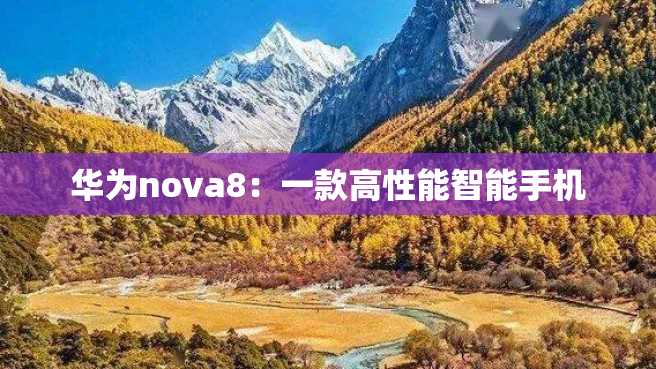 华为nova8:一款高性能智能手机 华为nova8:一款高性能智能手机