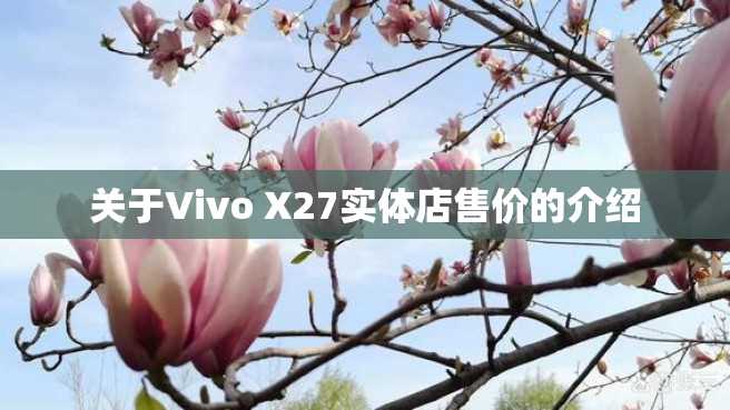 关于Vivo X27实体店售价的介绍