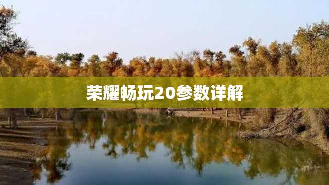 荣耀畅玩20参数详解 荣耀畅玩20参数详解