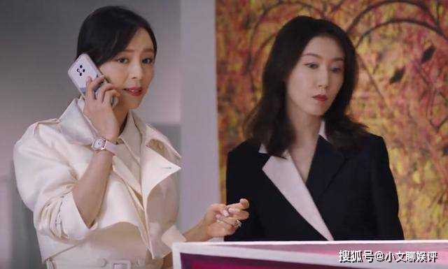 《她的城》谢长江被判十年监禁!艾英成谢家掌权人 闪婚英冲生下双胞胎