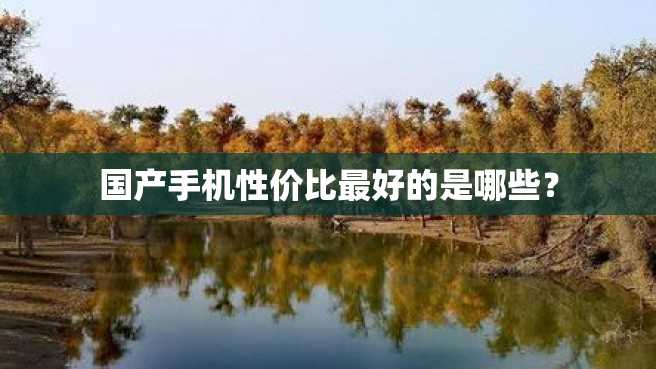 国产手机性价比最好的是哪些? 国产手机性价比最好的是哪些?