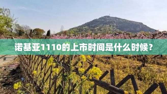 诺基亚1110的上市时间是什么时候? 诺基亚1110的上市时间是什么时候?