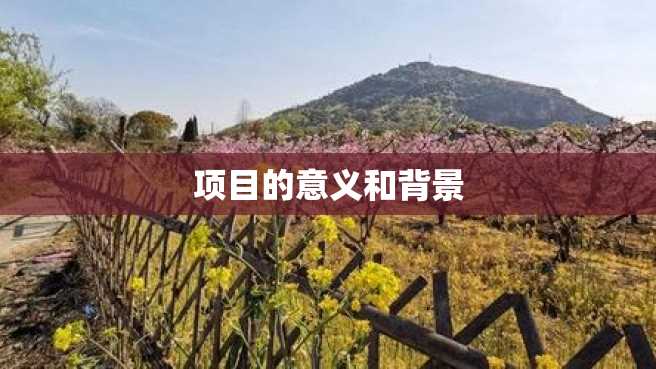 项目的意义和背景 项目的意义和背景