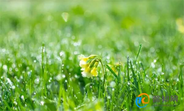 诺鲁孜节是什么节日 诺鲁孜节日的重要意义_酷知科普