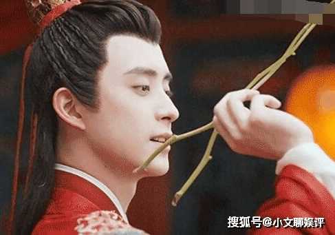 《花轿喜事》在哪个台播出?《花轿喜事》齐天磊的配音演员介绍