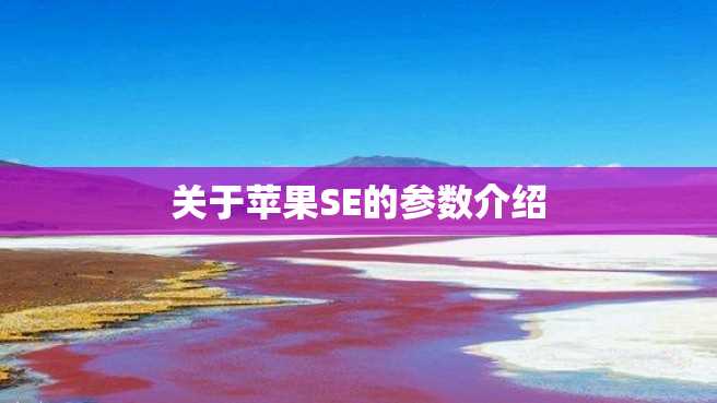 关于苹果SE的参数介绍