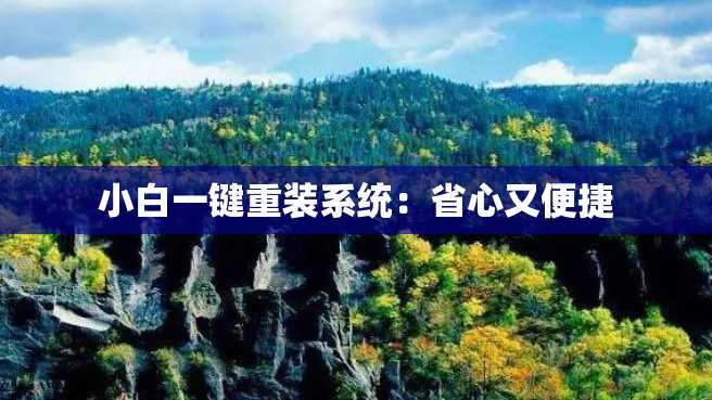 小白一键重装系统:省心又便捷 小白一键重装系统:省心又便捷