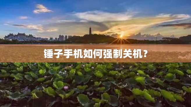 锤子手机如何强制关机? 锤子手机如何强制关机?