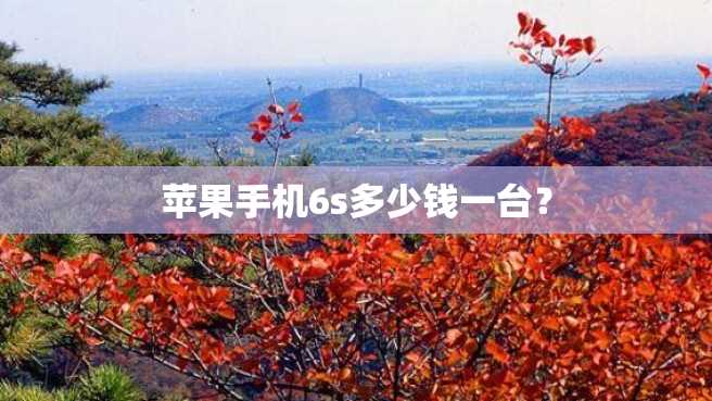 苹果手机6s多少钱一台? 苹果手机6s多少钱一台?