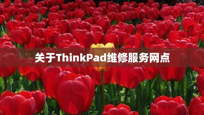 关于ThinkPad维修服务网点 关于ThinkPad维修服务网点
