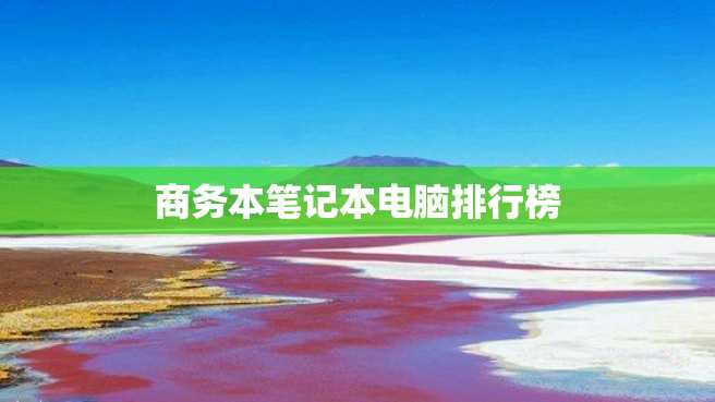 商务本笔记本电脑排行榜 商务本笔记本电脑排行榜