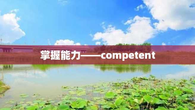 掌握能力——competent 掌握能力——competent