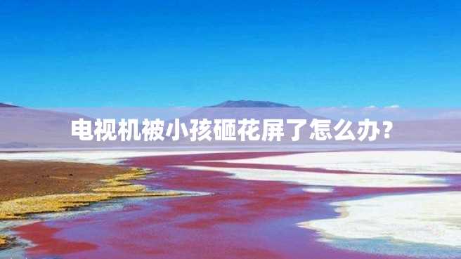 电视机被小孩砸花屏了怎么办? 电视机被小孩砸花屏了怎么办?