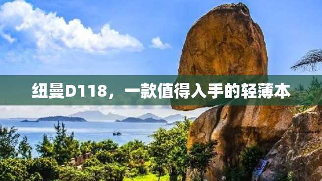纽曼D118,一款值得入手的轻薄本 纽曼D118,一款值得入手的轻薄本