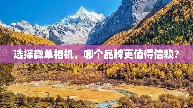 选择微单相机,哪个品牌更值得信赖? 选择微单相机,哪个品牌更值得信赖?