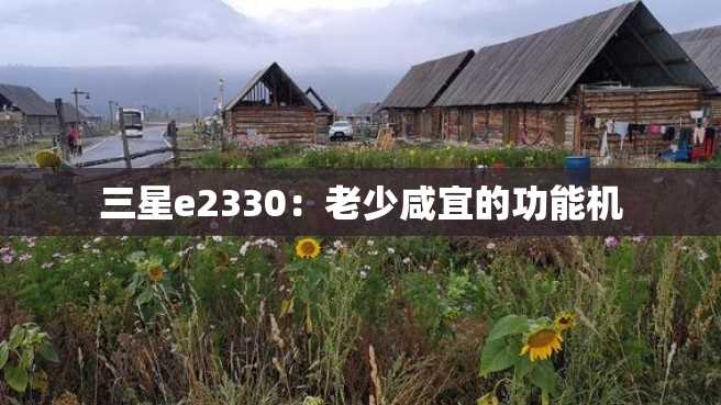 三星e2330：老少咸宜的功能机