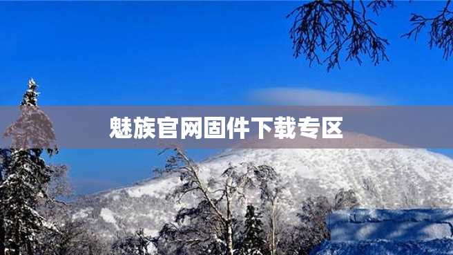 魅族官网固件下载专区 魅族官网固件下载专区