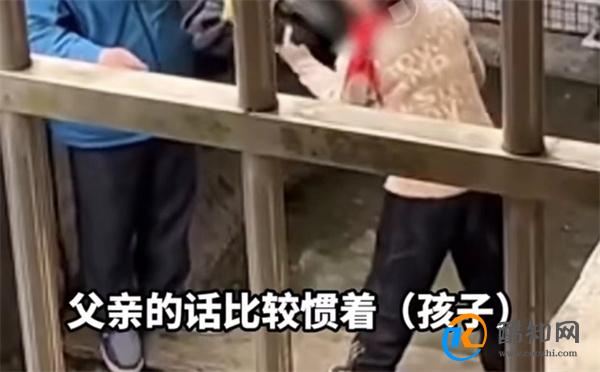 一位从教20年老教师的忠告:真正优秀的孩子 都是父母陪出来的