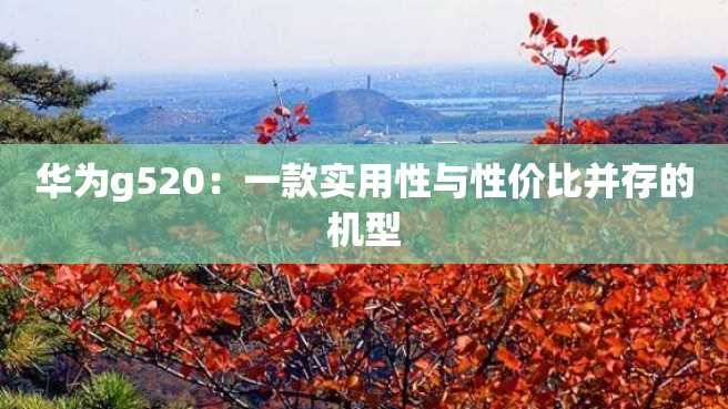 华为g520:一款实用性与性价比并存的机型 华为g520:一款实用性与性价比并存的机型