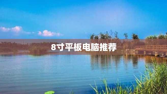 8寸平板电脑推荐