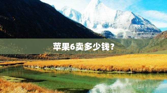 苹果6卖多少钱? 苹果6卖多少钱?