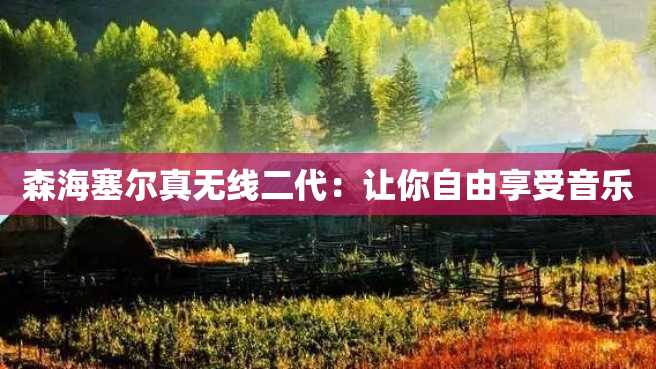 森海塞尔真无线二代:让你自由享受音乐 森海塞尔真无线二代:让你自由享受音乐
