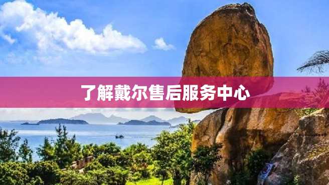 了解戴尔售后服务中心