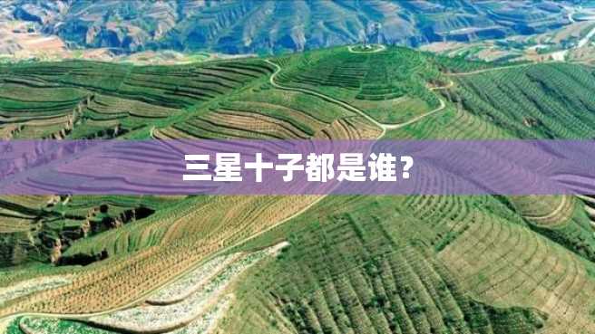 三星十子都是谁? 三星十子都是谁?