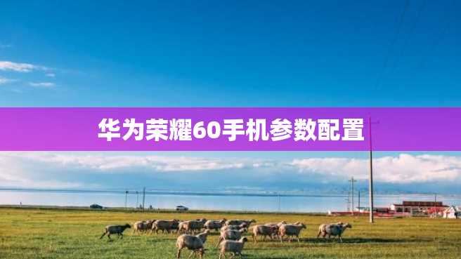 华为荣耀60手机参数配置 华为荣耀60手机参数配置