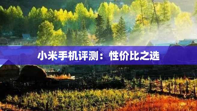 小米手机评测:性价比之选 小米手机评测:性价比之选