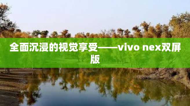 全面沉浸的视觉享受——vivo nex双屏版 全面沉浸的视觉享受——vivo nex双屏版