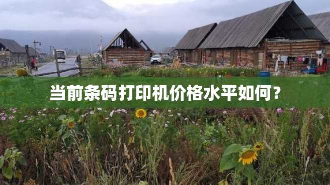 当前条码打印机价格水平如何? 当前条码打印机价格水平如何?
