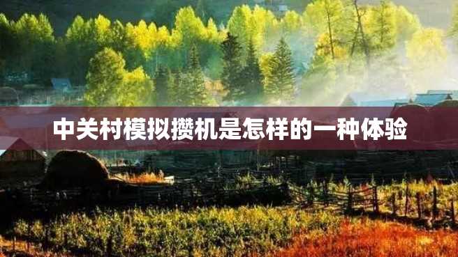 中关村模拟攒机是怎样的一种体验 中关村模拟攒机是怎样的一种体验