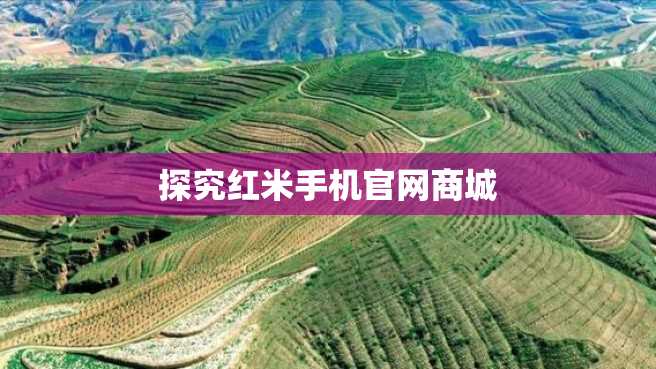 探究红米手机官网商城 探究红米手机官网商城