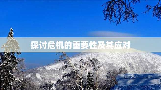 探讨危机的重要性及其应对 探讨危机的重要性及其应对