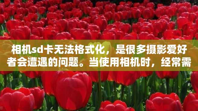 相机sd卡无法格式化,是很多摄影爱好者会遭遇的问题。当使用相机时,经常需要将旧的照片删除或者格式化SD卡,以腾出存储空间让我们继续拍摄更多的精彩瞬间。 相机sd卡无法格式化,是很多摄影爱好者会遭遇的问题。当使用相机时,经常需要将旧的照片删除或者格式化SD卡,以腾出存储空间让我们继续拍摄更多的精彩瞬间。