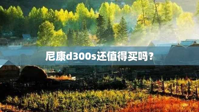 尼康d300s还值得买吗? 尼康d300s还值得买吗?
