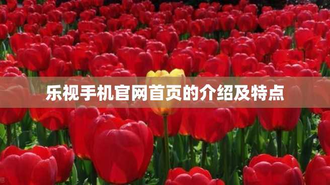 乐视手机官网首页的介绍及特点