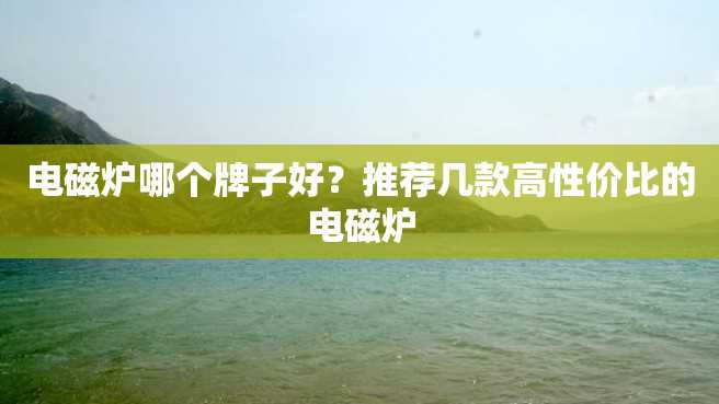 电磁炉哪个牌子好?推荐几款高性价比的电磁炉 电磁炉哪个牌子好?推荐几款高性价比的电磁炉