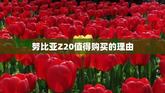 努比亚Z20值得购买的理由 努比亚Z20值得购买的理由