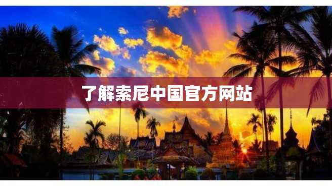 了解索尼中国官方网站