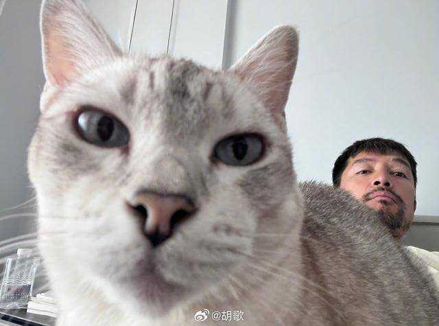 胡歌回应热评:你才大小姐呢 频频半夜发文作妖终究丢了路人缘