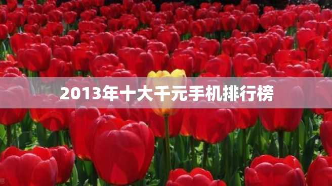 2013年十大千元手机排行榜