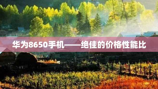华为8650手机——绝佳的价格性能比 华为8650手机——绝佳的价格性能比