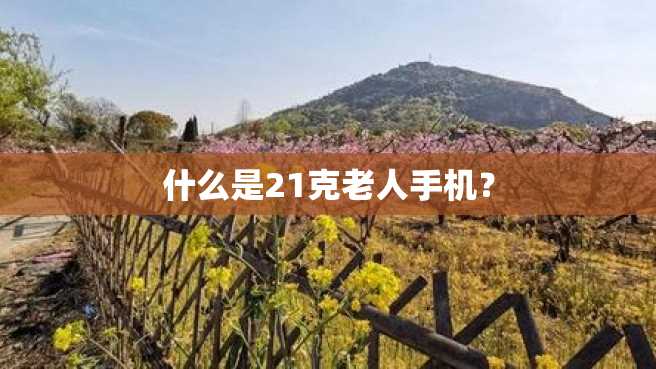 什么是21克老人手机? 什么是21克老人手机?