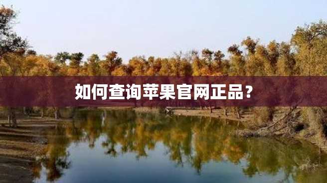 如何查询苹果官网正品? 如何查询苹果官网正品?