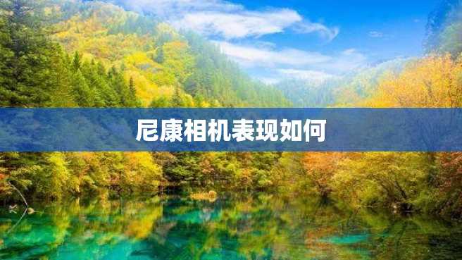 尼康相机表现如何 尼康相机表现如何