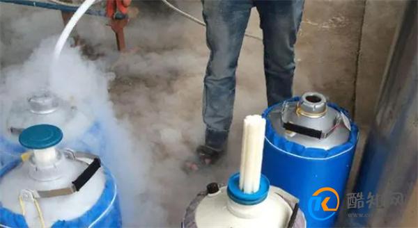 氮气的用途 氮气的用途与好处_酷知科普