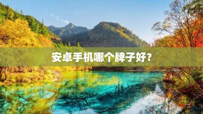 安卓手机哪个牌子好? 安卓手机哪个牌子好?