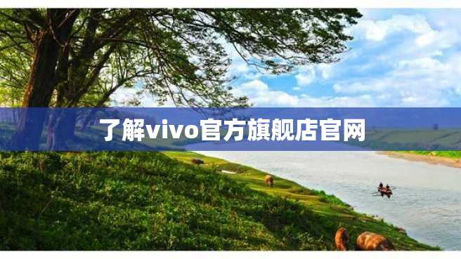 了解vivo官方旗舰店官网 了解vivo官方旗舰店官网